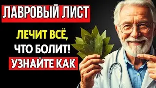 Пейте чай из лаврового листа каждый день &mdash; и вы будете поражены результатом!