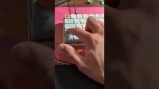 Akko Jelly Blacks Sound Test