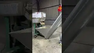 Small feed pellet production line for farming