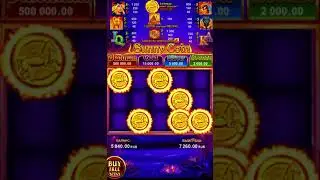 Занос х348 в Sunny Coin от Gamzix На Пинапе.