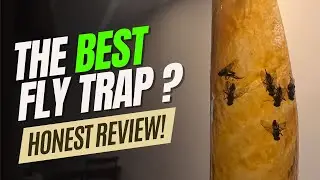 Does Raid&reg; Fly Ribbon Work? - FULL Fly Trap REVIEW ! #flies #flytrap #bugtrap
