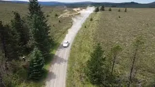 Maserati 4200 Coupe on Kielder Forest Drive Rally Stage