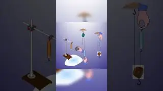The effect of fixed pulley and movable pulley