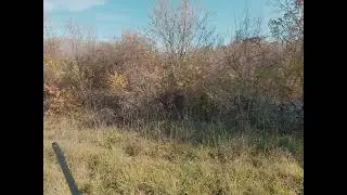 @Hunting Lov Sljuke