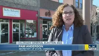 Clean Elections - Pam Anderson for Secretary of State