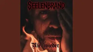 Nie wieder