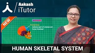 Digital Board Videos - Human Skeletal System - Locomotion and Movement | Aakash Digital