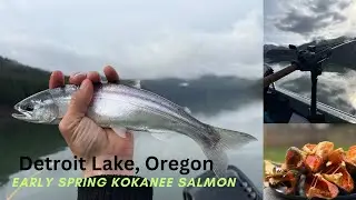 Early Spring Kokanee Salmon Fishing at Detroit Lake OR