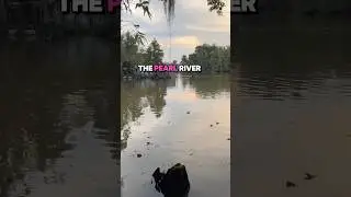 Pearl River WMA