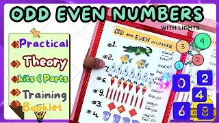 Odd and Even Numbers Made Easy | Maths Patterns Explained in Model | Ontex Electronics Projects