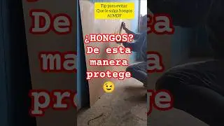 &iquest;HONGOS? De esta manera protege tus paneles mdf