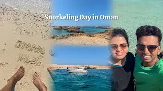 Snorkeling with Turtles in Oman | Al Dimaniyat Islands Adventure