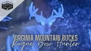 Last Pre-Season Scouting Trip | Virginia Public Land | #roguebowhunter #mountainbucks #publicland 