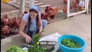 Сбор зелени, кормление кур и сбор свежих яиц! 🐔🥚 | Ежедневный уход за курами
