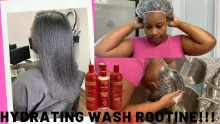 HOW TO KEEP 4C HAIR SUPER HYDRATED: WASH DAY ROUTINE + DETANGLING TIPS AND MOISTURE SEAL | DALANA B