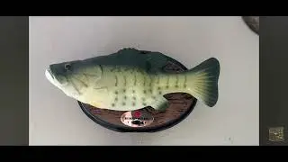 Animated big mouth billy bass 2 songs version don't worry be happy and I will survive 🐟