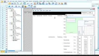 Nyheter i IBM SPSS Statistics version 20 samt paketl&ouml;sningar