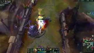 Warwick vs Singed