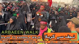 Arbaeen 2025 | Arbaeen Walk 2025 | Walk Najaf ToKarbala | Mashi 2025 | Karbala 2025 | أربعين 