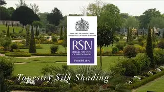 RSN Virtual Exhibition Faces & Figures in Stitch: Tapestry Silk Shading