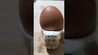 ASMR Hard Boiled 