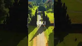 Don't miss our top 10 unique Bali activities! #bali #travel  #indonesia #world #balitravel #nature
