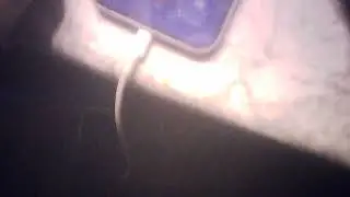 Рак полости рта бьет