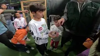 Jacob and Joseph hold a lizard (largata) at Artrotheca Moi Insectors Exoticos