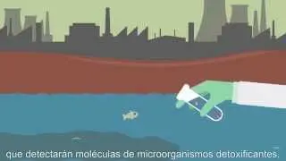 Camels team up with bacteria to detect pollution