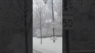 Heavy snow fall in Toronto #snowstorm #snowfall #toronto #snow #punjabisong #punjabi #snowman