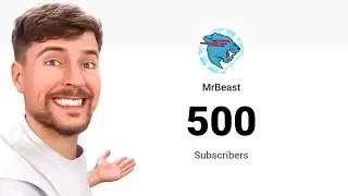 MrBeast Hit 500 Subscribers!