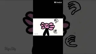 kinito pet