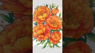 #Pfingstrose #peonies #malbuch #blumen #bl&uuml;ten #flowers #blossoms #coloringbook