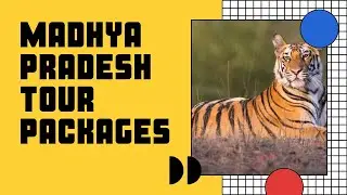 Call 080 8552 4472. mp tour packages, madhya pradesh tour plan, madhya pradesh tour itinerary.
