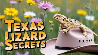Facts about the Texas Horned Lizard !