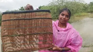 ఈ వర్షానికి ఈ కొడముతో ఎన్ని చేపలు పట్టాము#fishingvideo#villagewomenfishin#