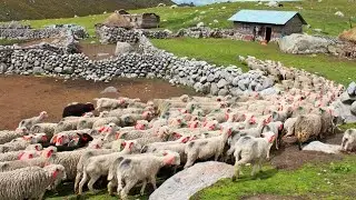 MES DE SANTIAGO - 🐄 Dúo Sila y Julia Illanes ♫♬♪♩𝄞