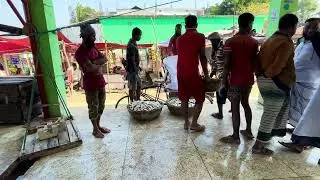 B-Roll Weigh, Auction, Pack Fish, Alipur Fish Dock Bangladesh