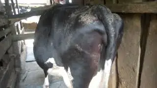 follow me for farming issues