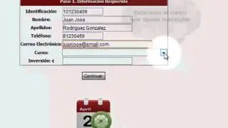ManualOnline ICAI