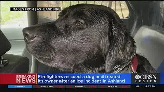 Dog Rescued From Icy Pond In Ashland