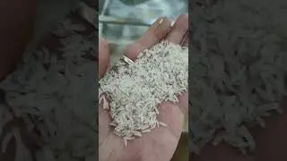 Enriched rice processing line