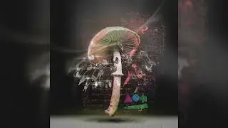 LUSU - Move 2 the Groove | Drumcode