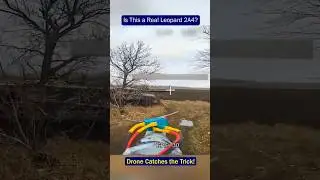 Leopard 2A4 Turns Out to Be a Dummy &ndash; Drone Catches the Trick!