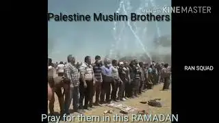 Pray For #Palestine Muslim Brothers.