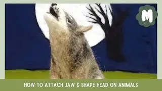How to Attach Jaw & Shape Head on wolves and similar animals