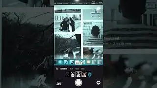 EyeYo is a filter app that simulates animal vision! #cat #dog #rabbit #app