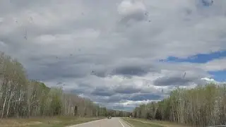 NORTHERN PROVINCIAL FOREST : The Beauty of Saskatchewan