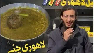 Trying Lahori Channy And Fries 🍟- DANI Bey.