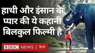 The Elephant Whisperers Oscars: हाथी और इंसान के प्यार की ये कहानी फिल्मी है (BBC Hindi)